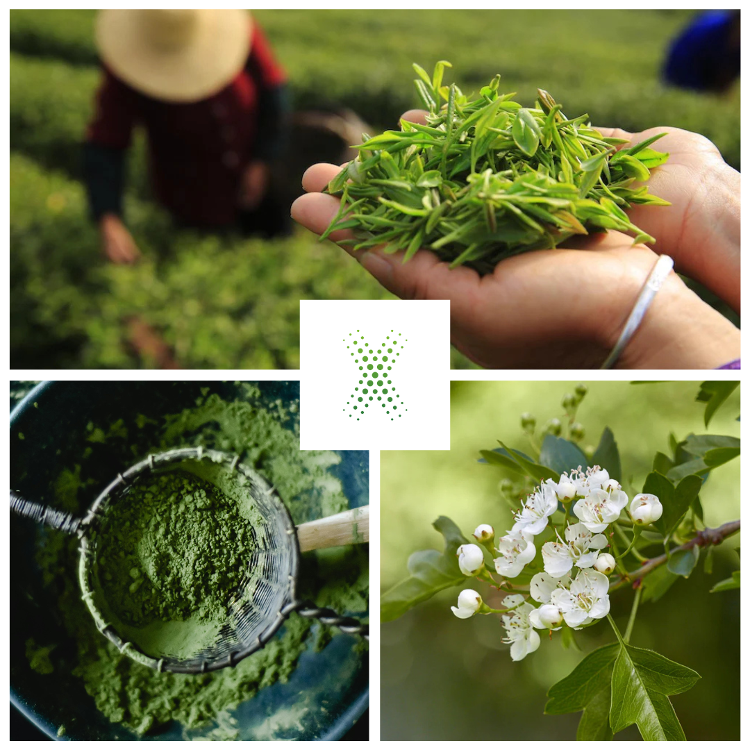 herbaltox-home-page-collage